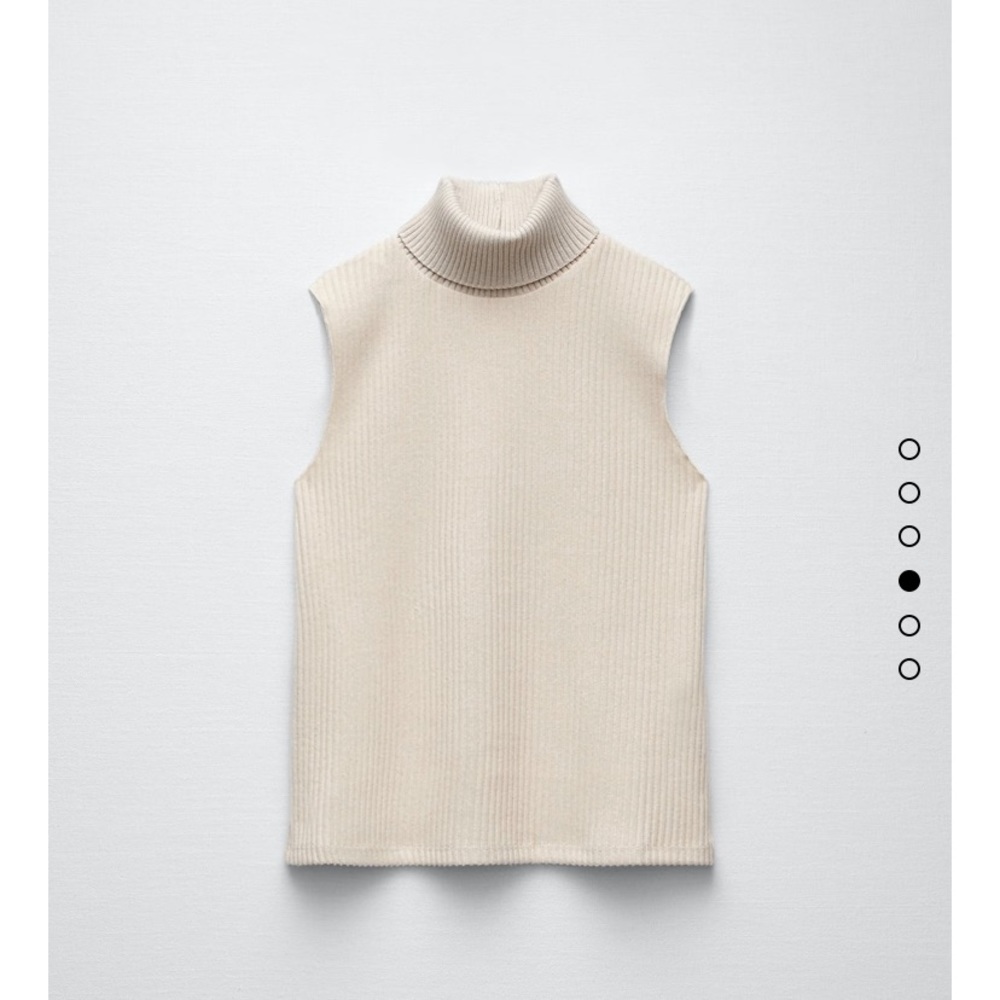 NWT Zara Soft Turtleneck Top